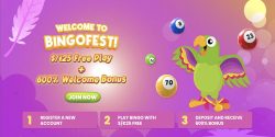 BingoFest Welcome Bonus