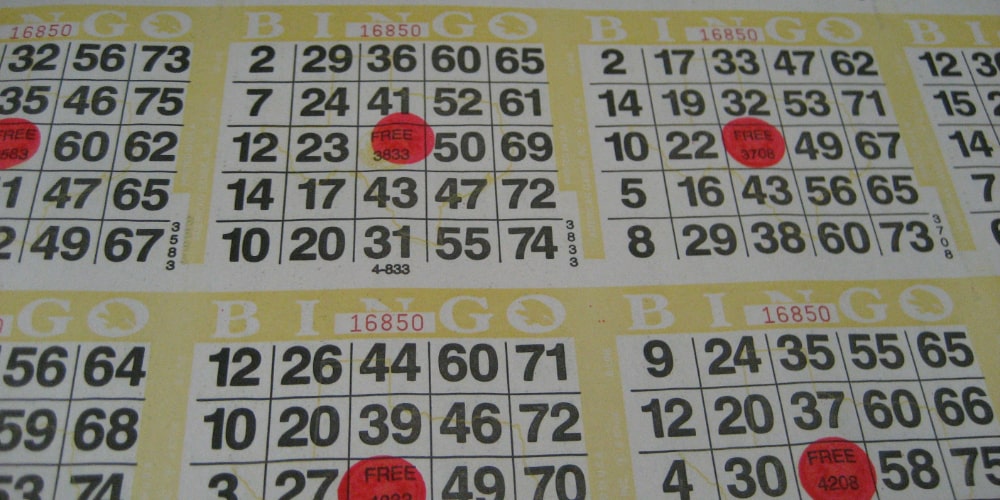 bonus bingo