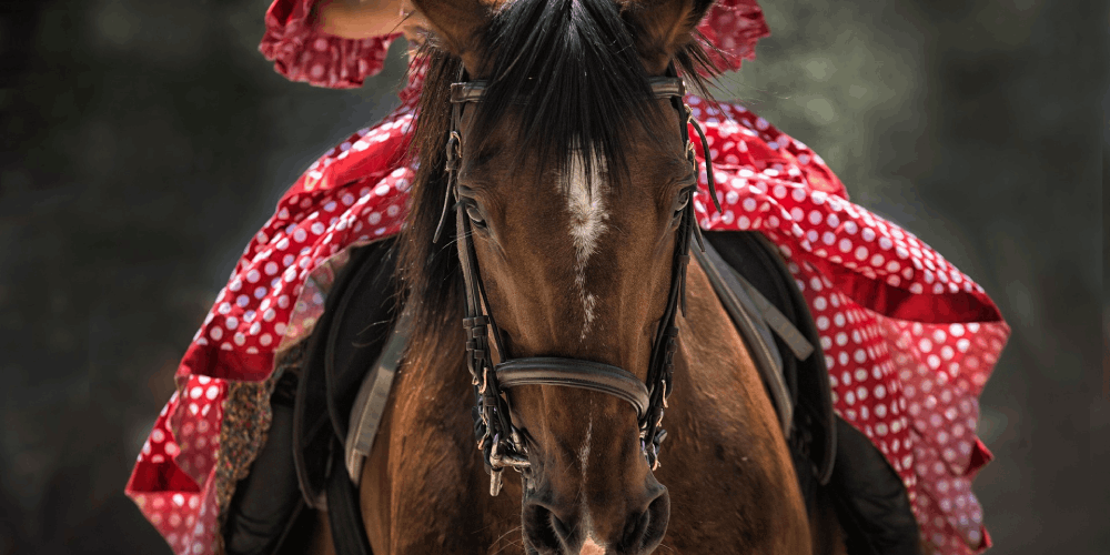 How weather affects horses?