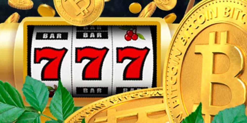 Crypto Bonus at Wild Casino