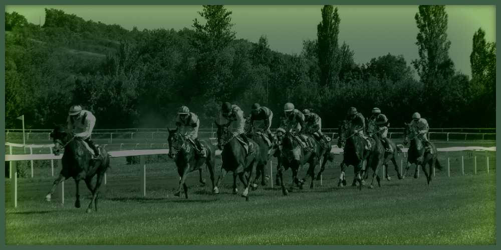 Horse racing betting site online 2024