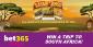 Play at Bet365 Bingo and Win a Safari Trip to South Africa