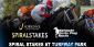 GTbets Offers 15% Rebate Bonus on Horse Racing