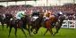 A Bet On The Haydock Sprint Cup Will Brighten Your Weekend