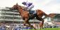 Bet On The Epsom Derby – The Epitome Of Flat Racing