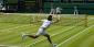 Tennis Betting Bounces Back To Britain For Wimbledon