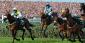 Follow the Spotlight or Go With the Pros? Grand National Betting Statistics