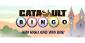 Play Catapult Bingo at CyberBingo – Win up to up to $500.00