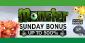 Monster Sunday Bonus: Get 650% Extra at CyberBingo