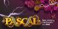 Vbet Casino Pascal Game Explained:  Join at Any Moment