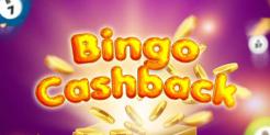 Always Win With Cyberbingo’s Cashback: Turn Losses Into Cash