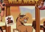 Join the $120,000 Wild West Casino Giveaway at Everygame!