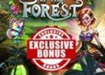 Elevate Your Play with the Charms of the Forest Exclusive Deal at Everygame Casino