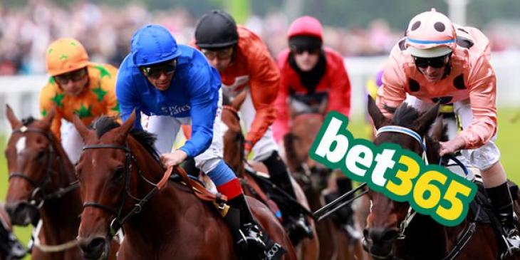 Earn risk free bets on the horse races at bet365!