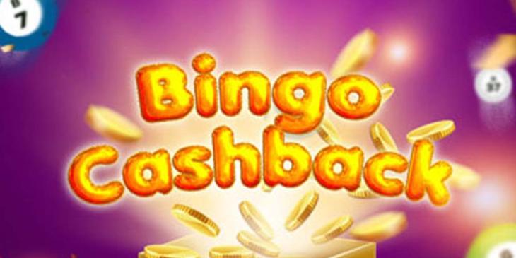 Always Win With Cyberbingo’s Cashback: Turn Losses Into Cash