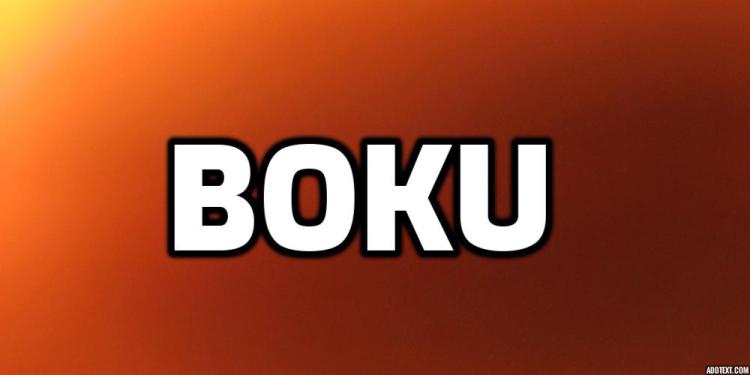 Best Online Casinos That Accept Boku