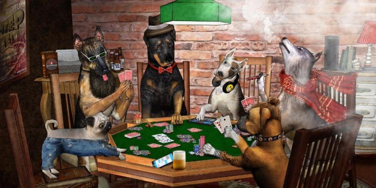 Coolest Poker Games for Summer Vacation