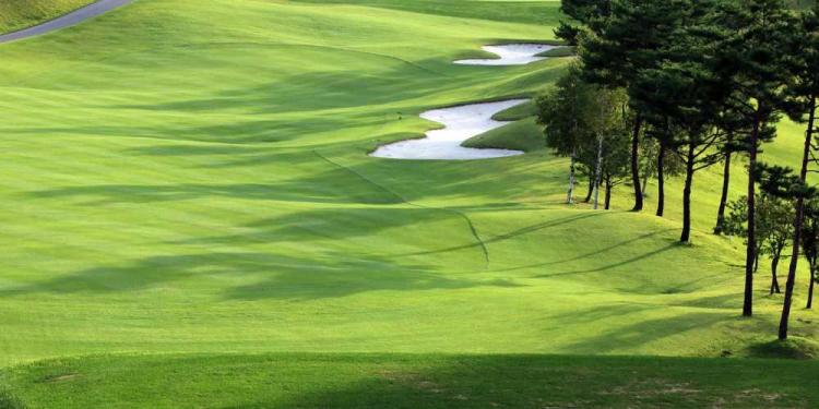 Best Golf Courses In Budapest – A Full Guide For Golf In Hungary